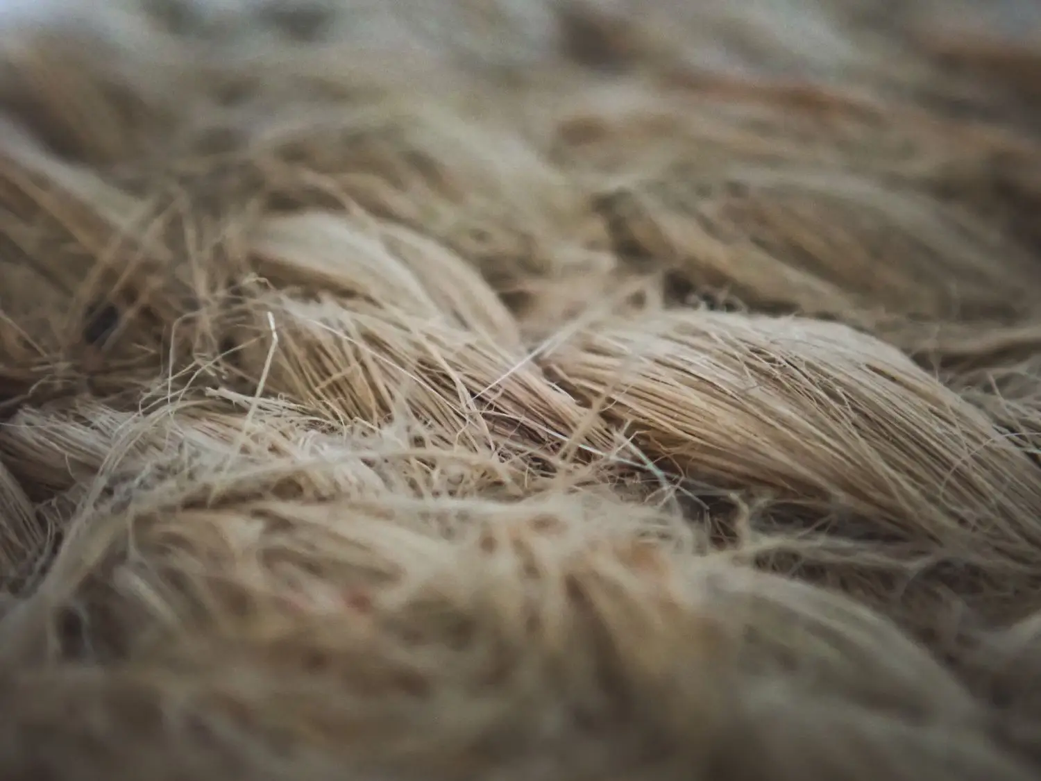 Nærbilde av naturfiber som inspirasjon til materialitet